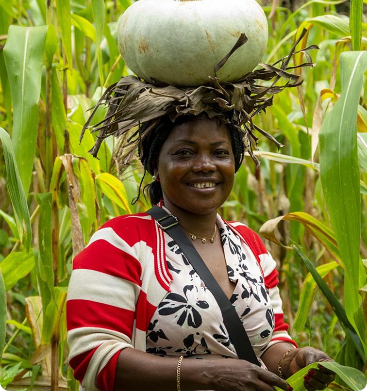 Farmer in field