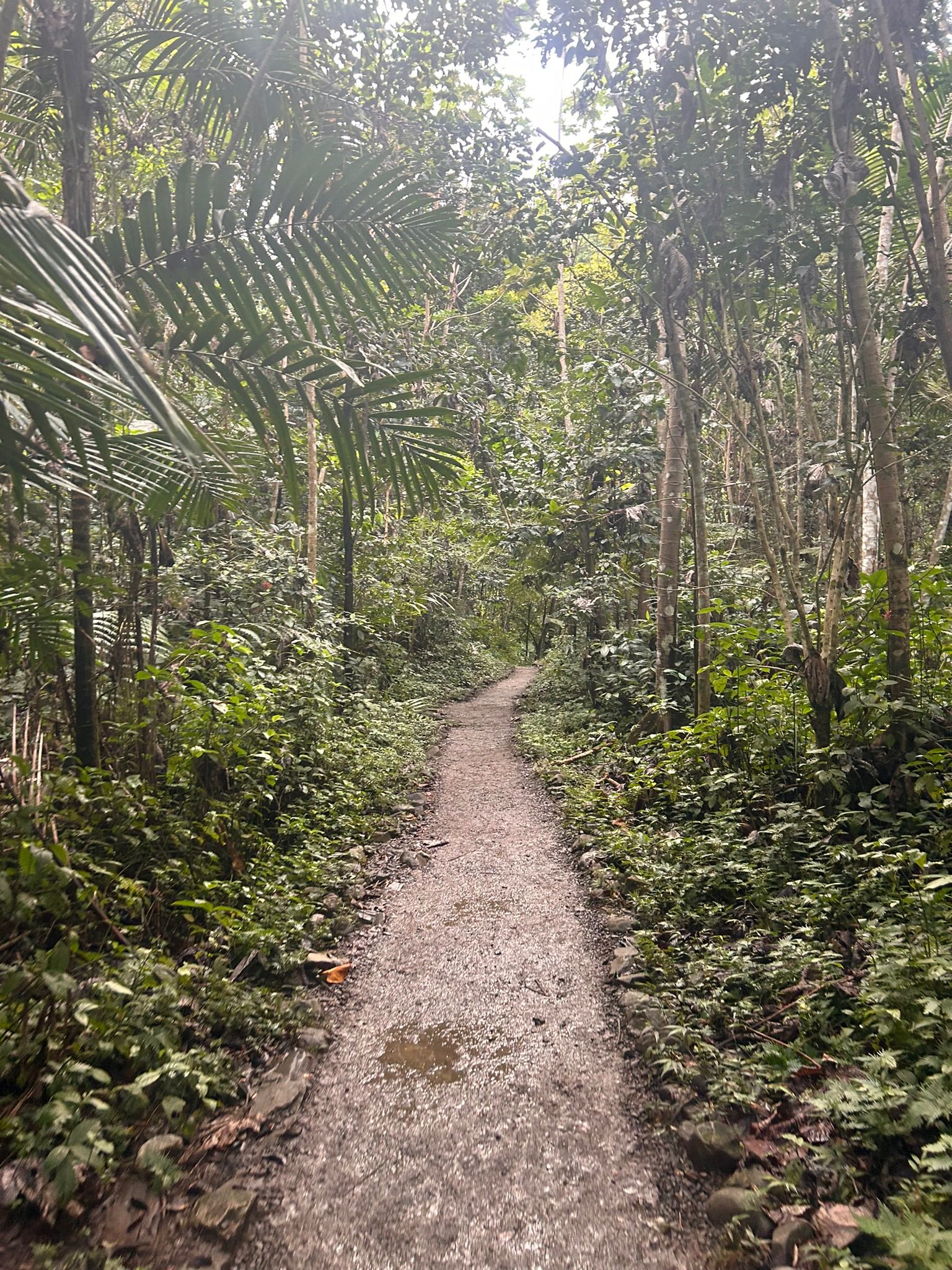 Agricultural training